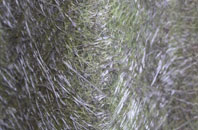 Porthcawl fibreglass roof work